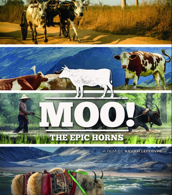 BKKDOC award winner 2021 moo the epic horns